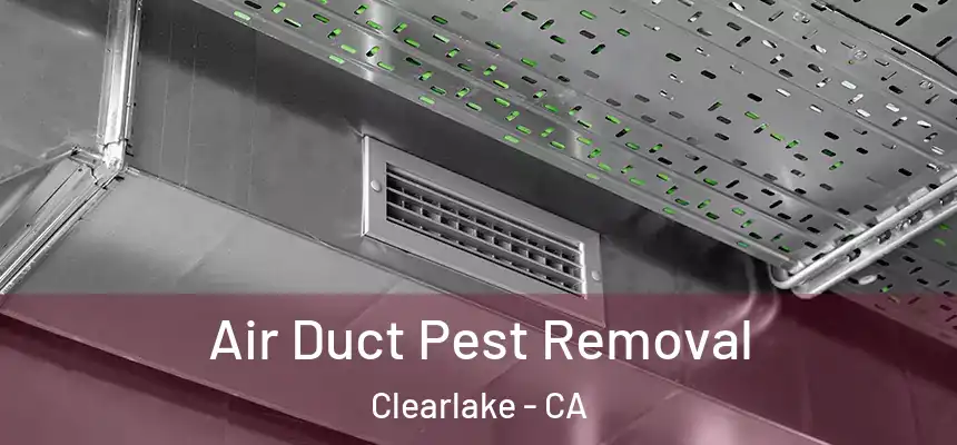  Air Duct Pest Removal Clearlake - CA