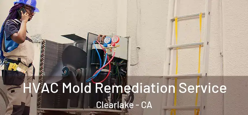 HVAC Mold Remediation Service Clearlake - CA