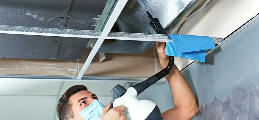 Our Air Duct Rodent Removal Services in Clearlake, CA