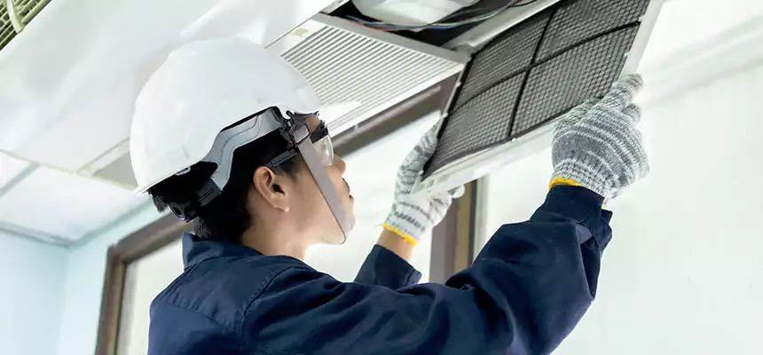 Our Mold & Mildew Removal from Air Ducts Services in Clearlake, CA