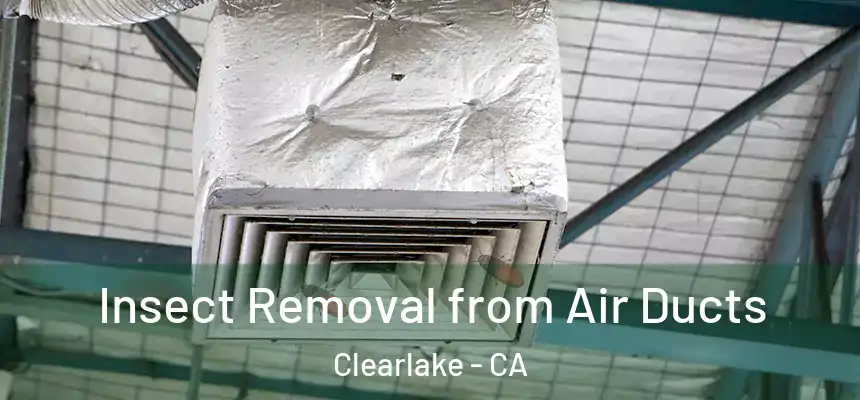 Insect Removal from Air Ducts Clearlake - CA
