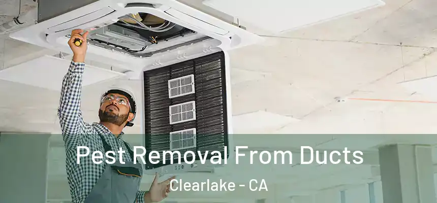  Pest Removal From Ducts Clearlake - CA