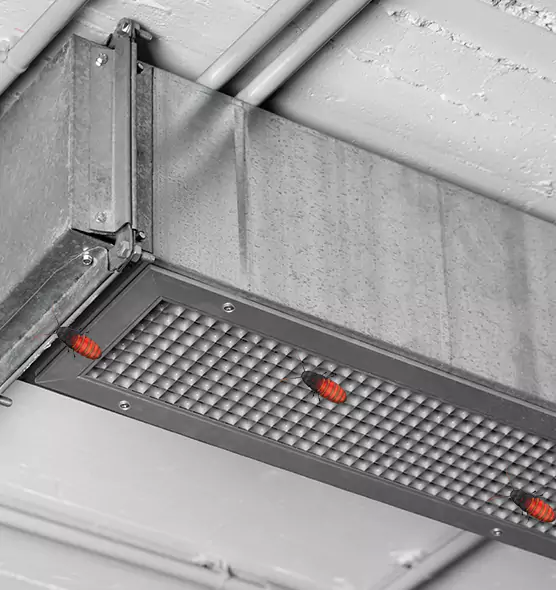 About Air Duct Cockroach Removal in Clearlake, CA