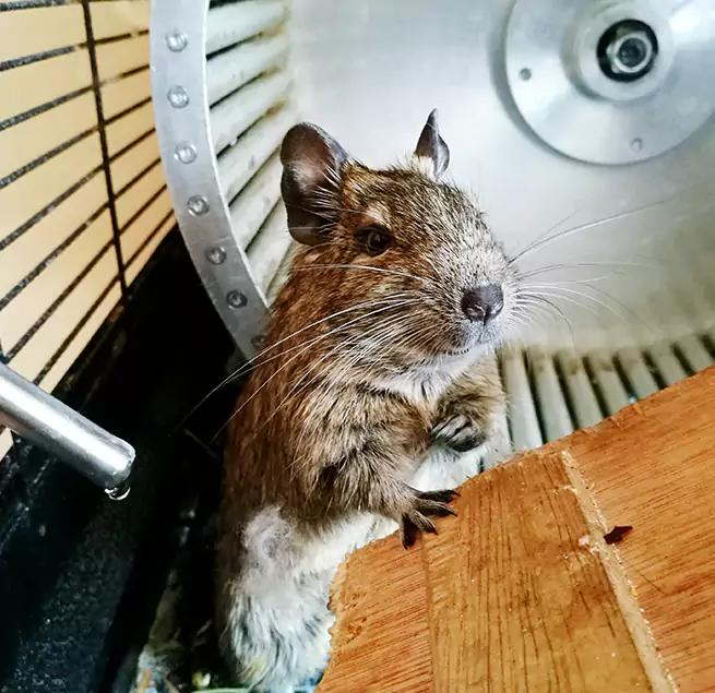 Why Homeowners & Businesses Trust Us Clearlake, CA