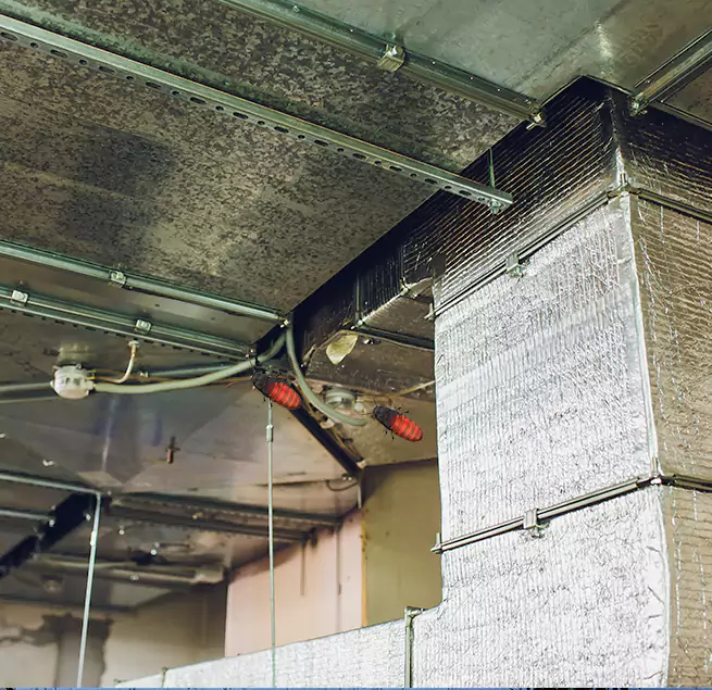 Why Homeowners & Businesses Trust Us Clearlake, CA?