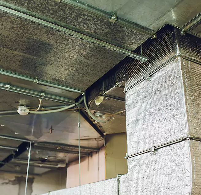 Why Homeowners & Businesses Trust Us in Clearlake, CA?